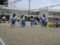 IMG_3291