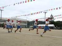 IMG_3309