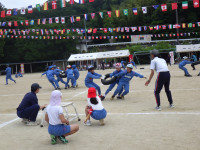 RIMG3547