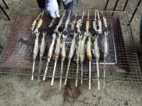 RIMG4020
