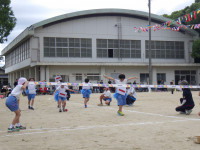 RIMG9637