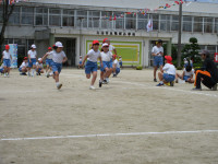 IMG_2911