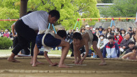 RIMG2974