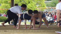 RIMG2976
