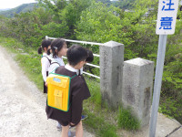 RIMG3067