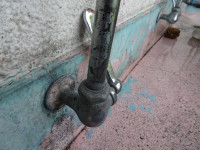 DSC07113