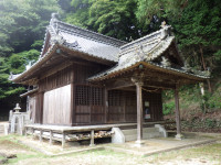 RIMG4054